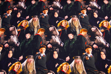 Restmenge 90 cm Jersey Digital "Harry Potter", schwarz